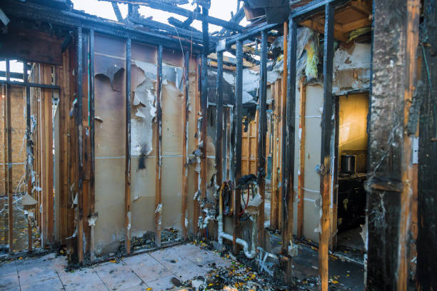 Professional Fire Damage Removal technician working in Somerville, NJ